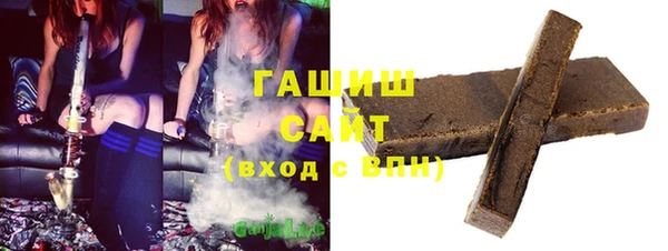 СК Алексин