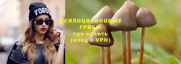 соль курить ск Алзамай
