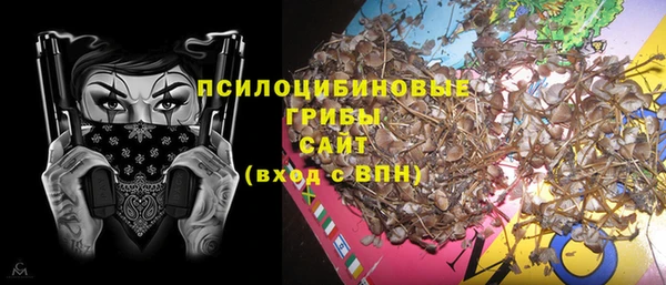 соль курить ск Алзамай