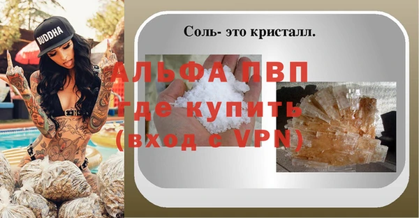 СК Алексин