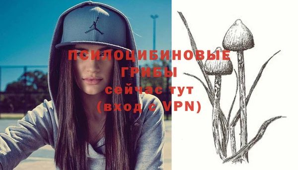 mdpv Новокубанск